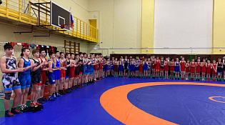 Чемпионат и первенство Костромской области по спортивной борьбе (вольной)