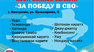 VII Детско-юношеский фестиваль боевых искусств Костромской области "За победу в СВО"