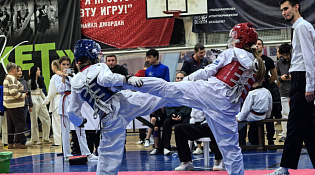 Межрегиональный фестиваль по тхэквондо ВТФ «ЧЕМПИОН»