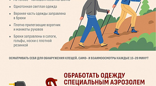 Как предотвратить нападение клещей?